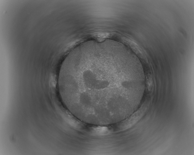 X0000111590374200907231219