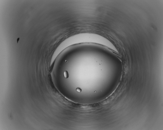 X0000111590376200907231219