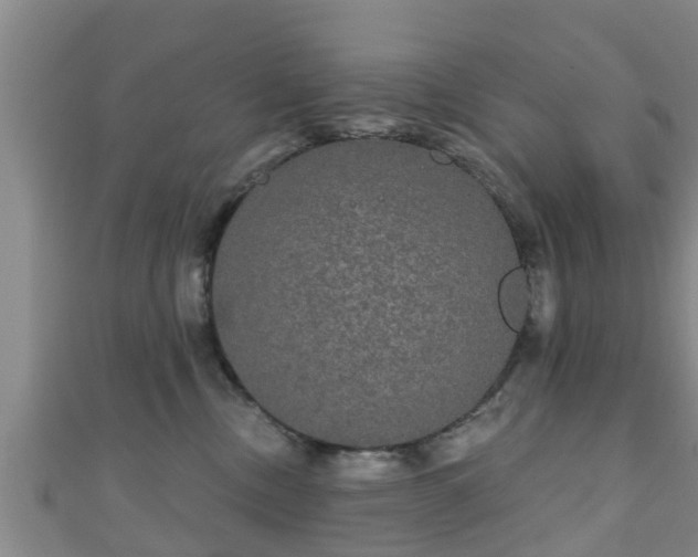 X0000111590378200907231219