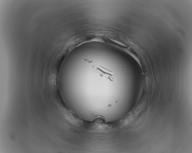 X0000111590379200907231219