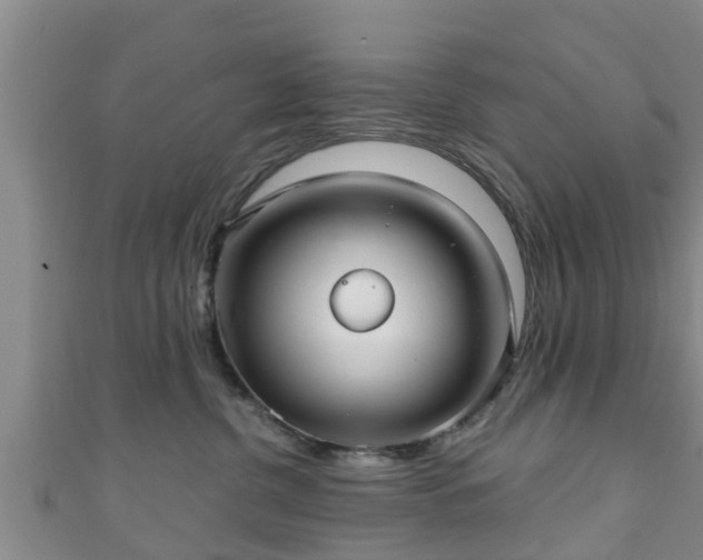 X0000111590380200907231219