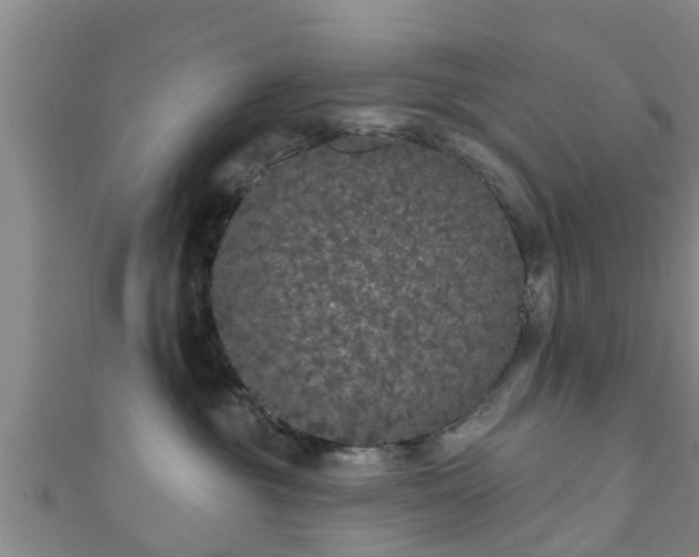 X0000111590381200907231219