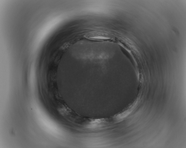 X0000111590382200907231219