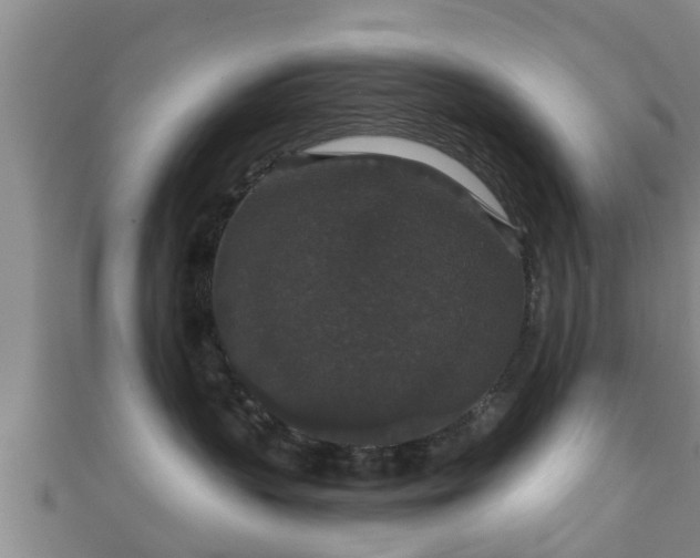 X0000111590383200907231219