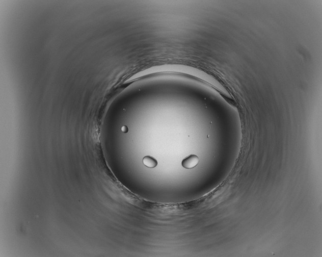 X0000111590384200907231219