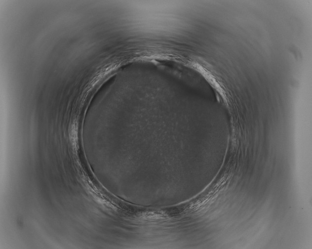 X0000111590386200907231219