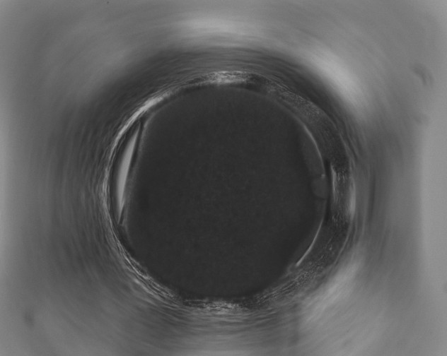 X0000111590387200907231219