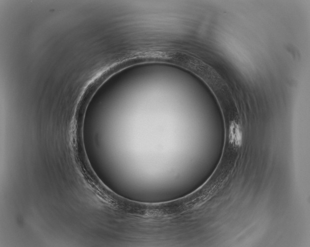 X0000111590388200907231219