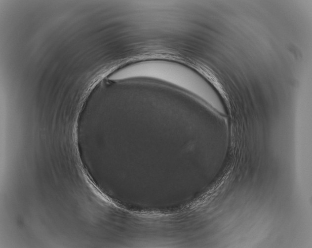 X0000111590389200907231219