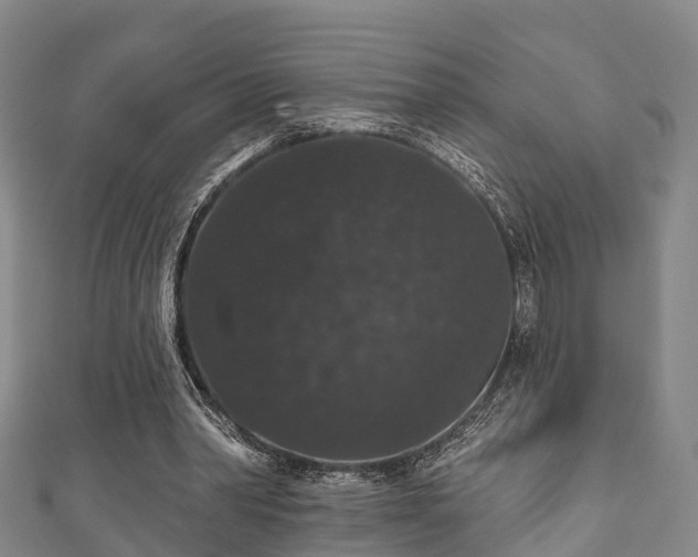 X0000111590390200907231219