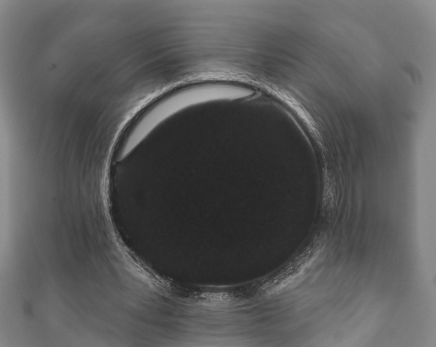 X0000111590391200907231219