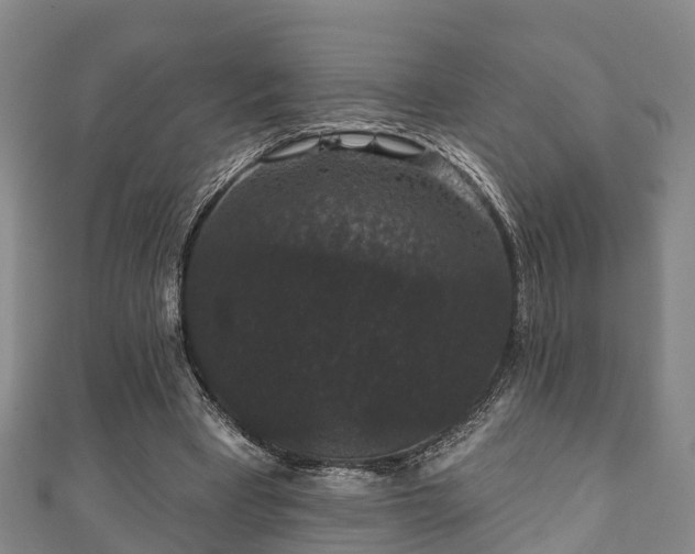 X0000111590393200907231219