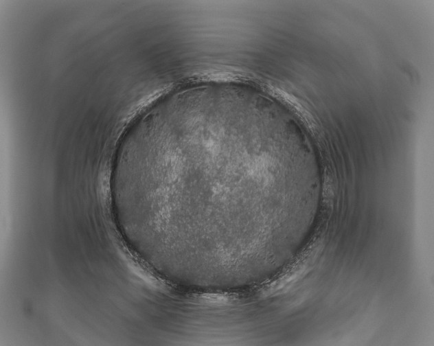 X0000111590394200907231219