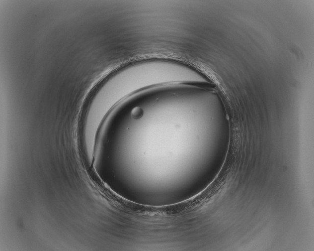 X0000111590395200907231219