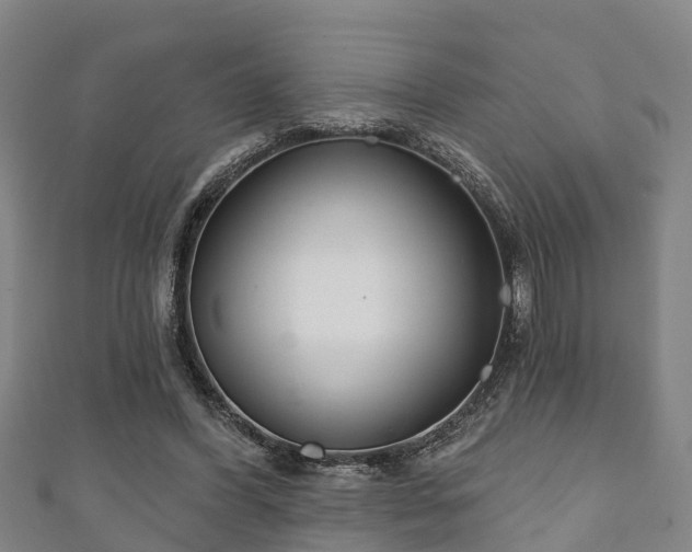 X0000111590396200907231219