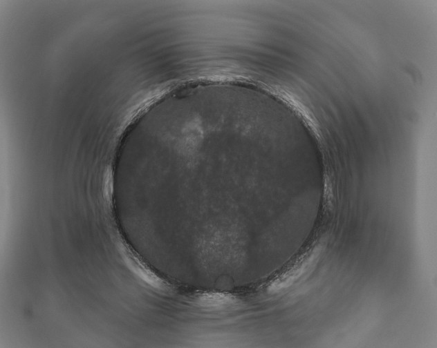 X0000111590397200907231219