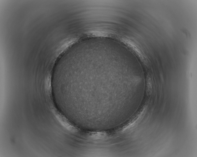 X0000111590398200907231219