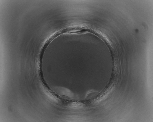 X0000111590399200907231218