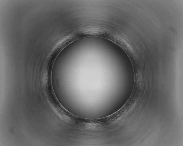 X0000111590400200907231218