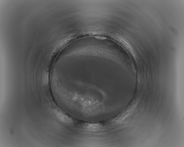 X0000111590401200907231218