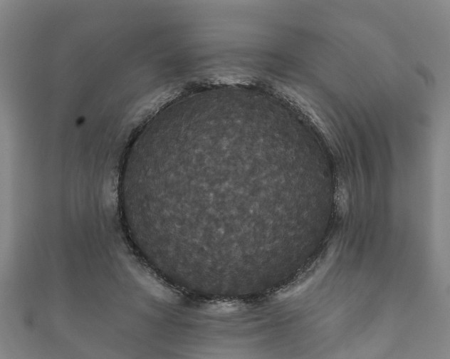 X0000111590402200907231218