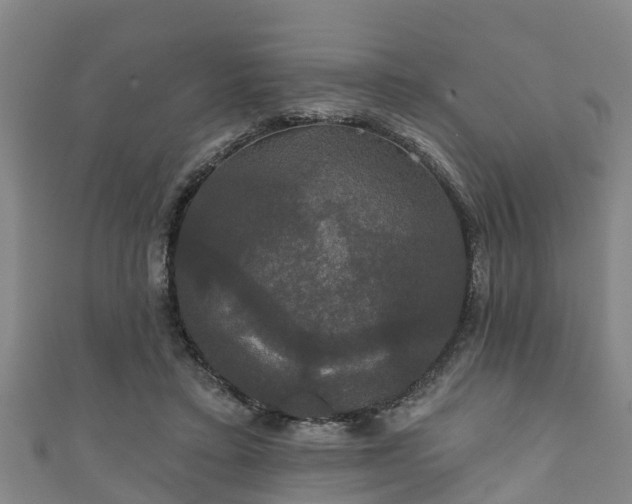 X0000111590403200907231218