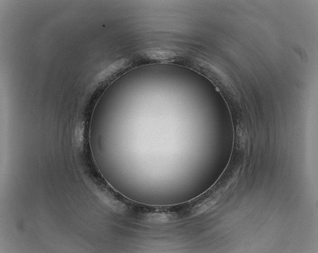 X0000111590404200907231218