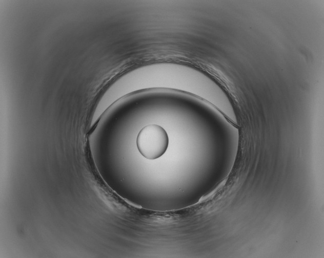 X0000111590405200907231218