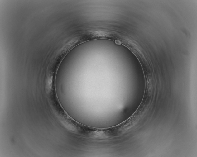 X0000111590406200907231218