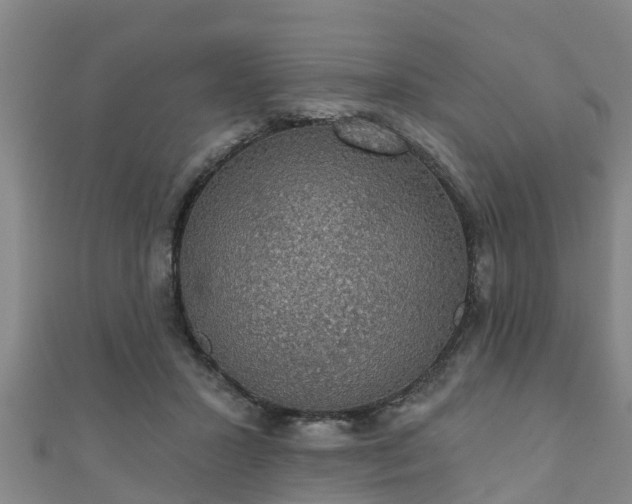 X0000111590407200907231218