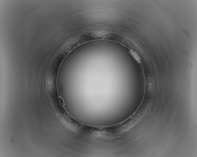 X0000111590408200907231218