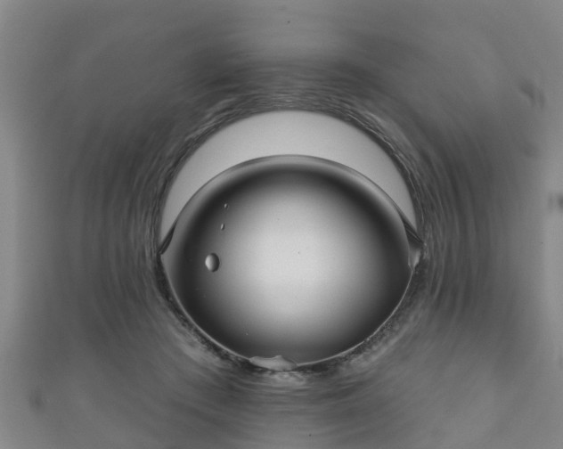 X0000111590409200907231218