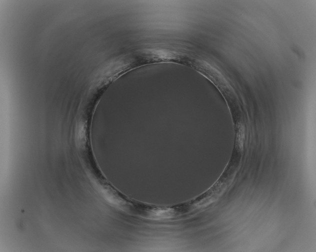 X0000111590410200907231218