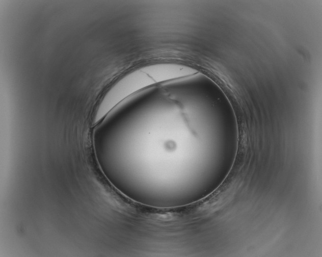 X0000111590411200907231218