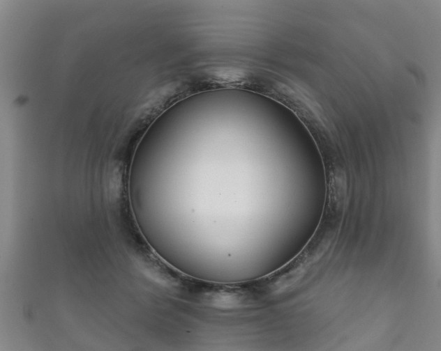 X0000111590412200907231218