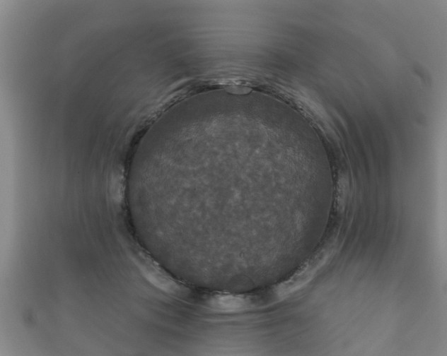 X0000111590413200907231218