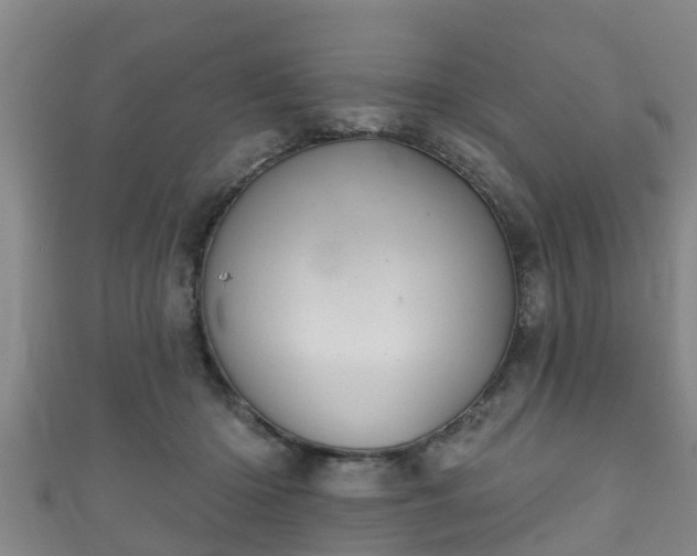 X0000111590414200907231218