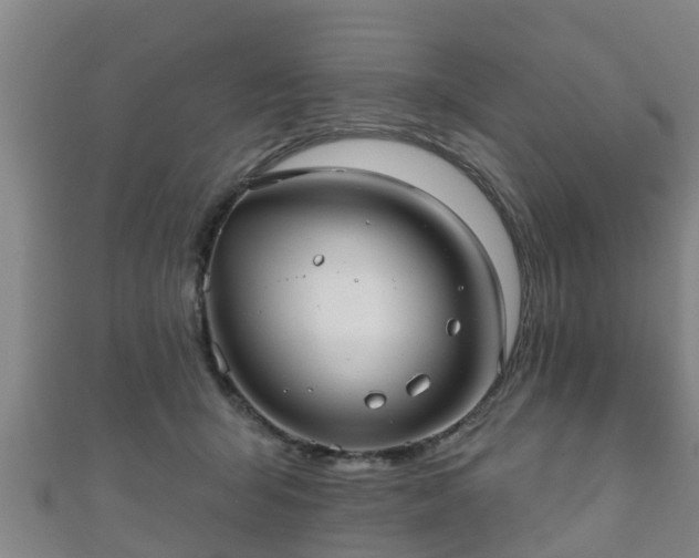 X0000111590415200907231218