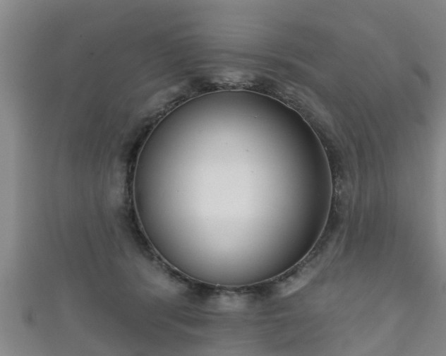 X0000111590416200907231218