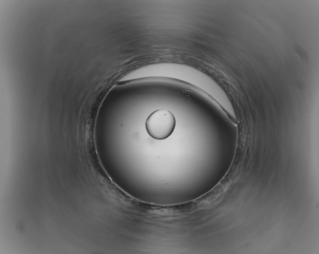 X0000111590417200907231218