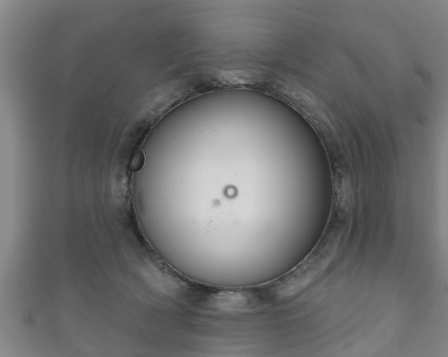 X0000111590418200907231218