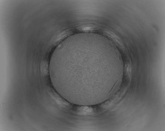 X0000111590421200907231218