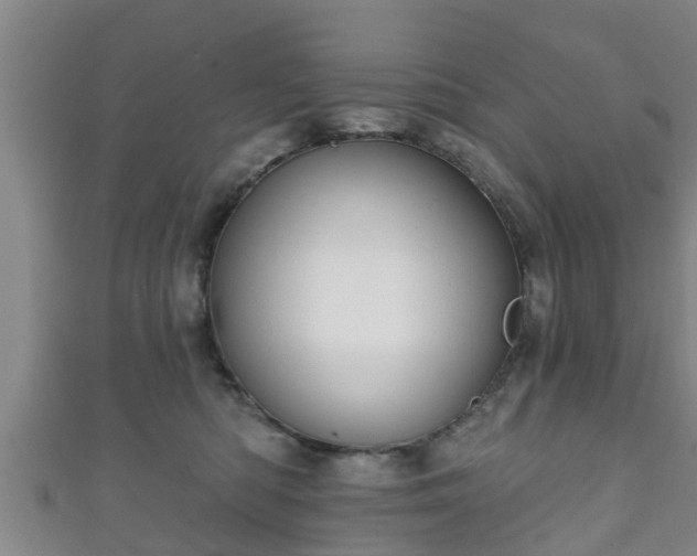 X0000111590422200907231218