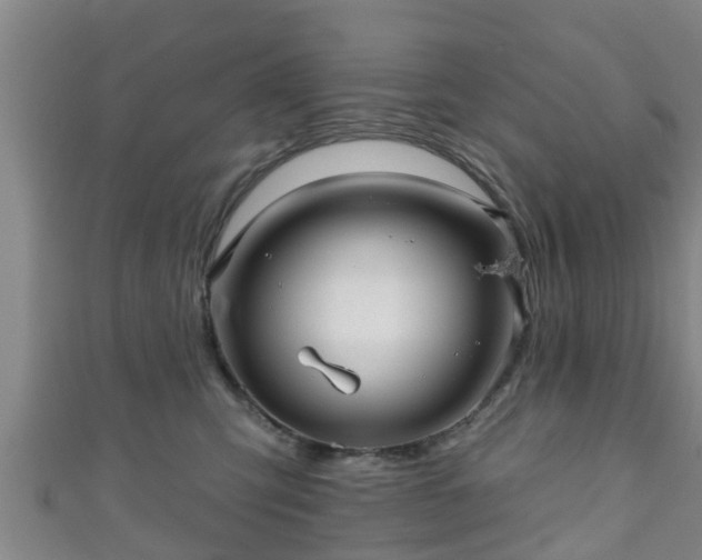 X0000111590423200907231218