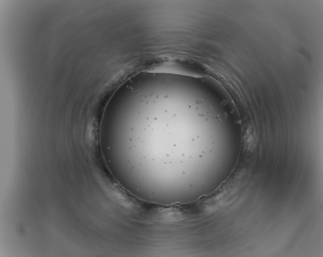 X0000111590424200907231218