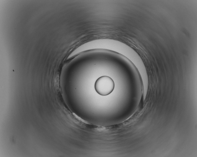 X0000111590425200907231218