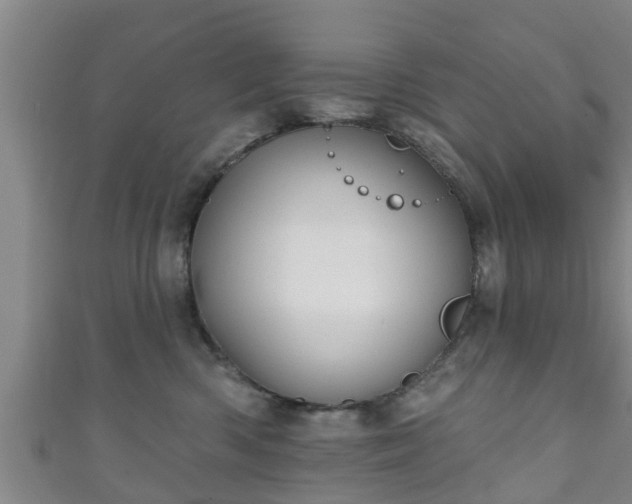 X0000111590426200907231218