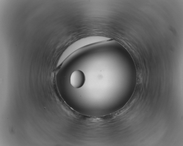 X0000111590427200907231218