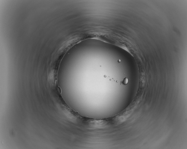 X0000111590428200907231218