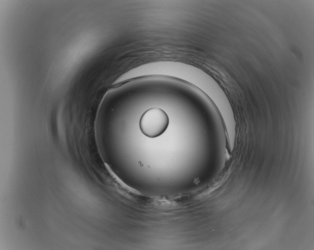 X0000111590429200907231218